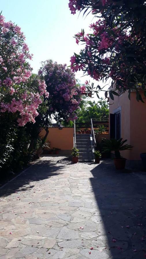B&B Giorgia Airport Fiumicino Exterior photo